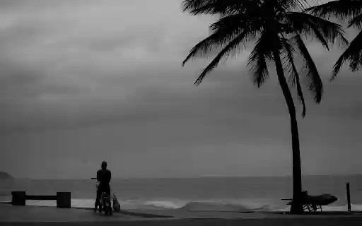 Monochrome Photo of Person Standing on Seashore from Chrome web store to be run with OffiDocs Chromium online Monochrome Photo of Person Standing on Seashore from Chrome web store to be run with OffiDocs Chromium online