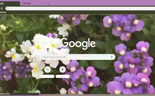 Nemesia Strumosa from Chrome web store to be run with OffiDocs Chromium online Nemesia Strumosa from Chrome web store to be run with OffiDocs Chromium online