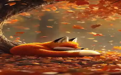 Orange fox wallpaper from Chrome web store to be run with OffiDocs Chromium online Orange fox wallpaper from Chrome web store to be run with OffiDocs Chromium online