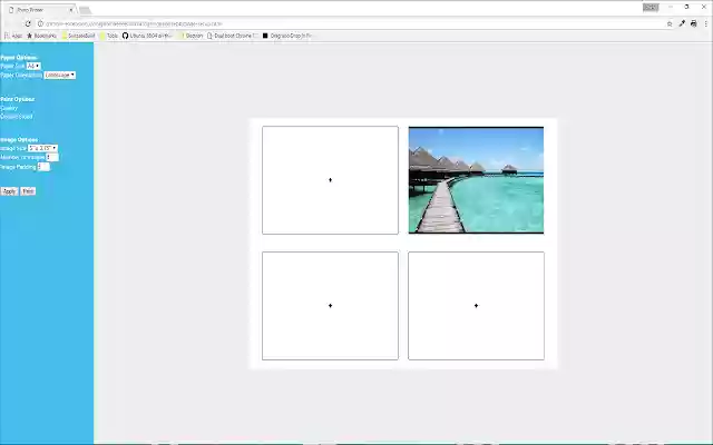 Picture Printer from Chrome web store to be run with OffiDocs Chromium online Picture Printer from Chrome web store to be run with OffiDocs Chromium online