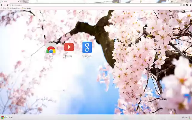 Pink Cherry Blossom Flowers from Chrome web store to be run with OffiDocs Chromium online Pink Cherry Blossom Flowers from Chrome web store to be run with OffiDocs Chromium online