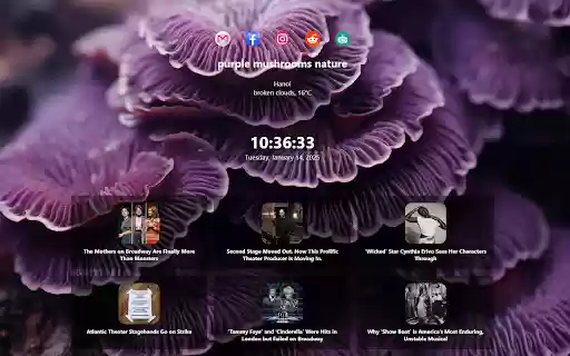 purple mushrooms from Chrome web store to be run with OffiDocs Chromium online purple mushrooms from Chrome web store to be run with OffiDocs Chromium online