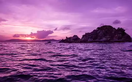 Purple Sea from Chrome web store to be run with OffiDocs Chromium online Purple Sea from Chrome web store to be run with OffiDocs Chromium online
