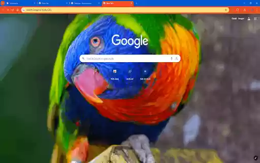 Rainbow Lorikeet from Chrome web store to be run with OffiDocs Chromium online Rainbow Lorikeet from Chrome web store to be run with OffiDocs Chromium online