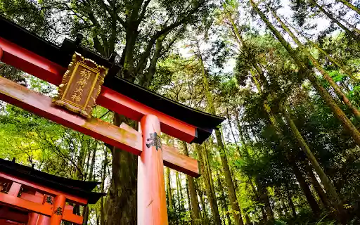 Red Pagoda of a Temple in Kyoto from Chrome web store to be run with OffiDocs Chromium online Red Pagoda of a Temple in Kyoto from Chrome web store to be run with OffiDocs Chromium online