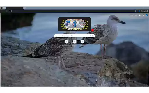 Seagulls on a Rock from Chrome web store to be run with OffiDocs Chromium online Seagulls on a Rock from Chrome web store to be run with OffiDocs Chromium online