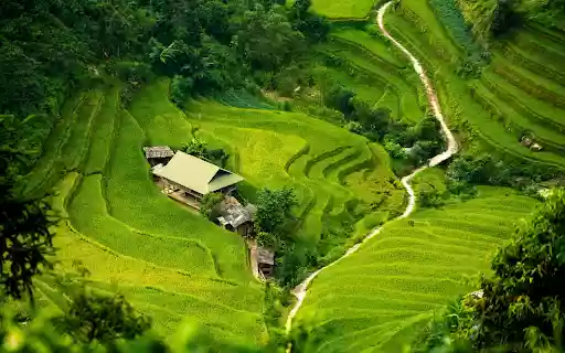 Terraced Rice Fields from Chrome web store to be run with OffiDocs Chromium online Terraced Rice Fields from Chrome web store to be run with OffiDocs Chromium online