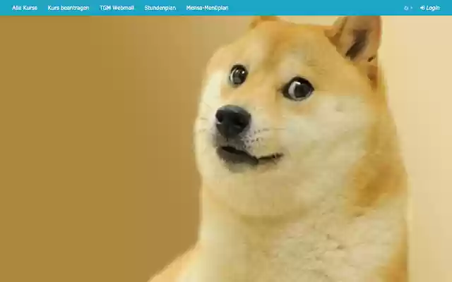 TGM Elearning Doge Hintergrund from Chrome web store to be run with OffiDocs Chromium online TGM Elearning Doge Hintergrund from Chrome web store to be run with OffiDocs Chromium online