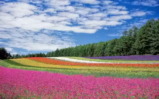 ThE coOl mOthEr nAturE Mix v3 from Chrome web store to be run with OffiDocs Chromium online ThE coOl mOthEr nAturE Mix v3 from Chrome web store to be run with OffiDocs Chromium online