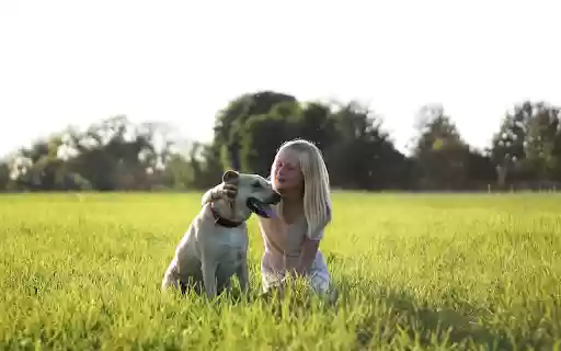 The dog and the white haired girl from Chrome web store to be run with OffiDocs Chromium online The dog and the white haired girl from Chrome web store to be run with OffiDocs Chromium online