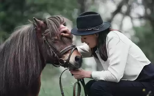 The girl and the good horse from Chrome web store to be run with OffiDocs Chromium online The girl and the good horse from Chrome web store to be run with OffiDocs Chromium online