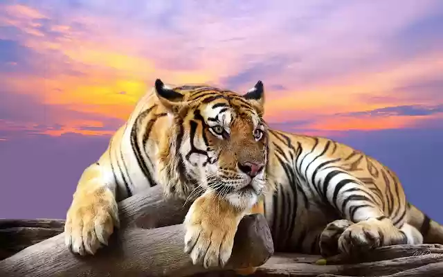 TIGER from Chrome web store to be run with OffiDocs Chromium online TIGER from Chrome web store to be run with OffiDocs Chromium online