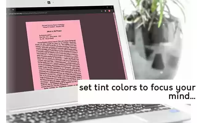 Tint Timer from Chrome web store to be run with OffiDocs Chromium online Tint Timer from Chrome web store to be run with OffiDocs Chromium online
