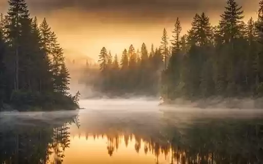 TREES BY THE LAKE THEME from Chrome web store to be run with OffiDocs Chromium online TREES BY THE LAKE THEME from Chrome web store to be run with OffiDocs Chromium online