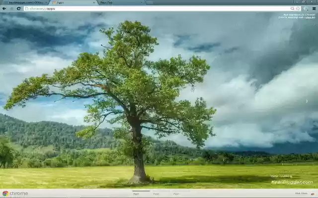 UrosDornik from Chrome web store to be run with OffiDocs Chromium online UrosDornik from Chrome web store to be run with OffiDocs Chromium online