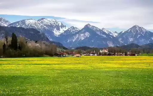 Vast Grass Field from Chrome web store to be run with OffiDocs Chromium online Vast Grass Field from Chrome web store to be run with OffiDocs Chromium online