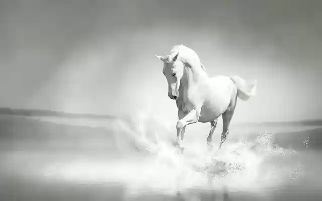 White Horse By RB Themes 1366X768 from Chrome web store to be run with OffiDocs Chromium online White Horse By RB Themes 1366X768 from Chrome web store to be run with OffiDocs Chromium online