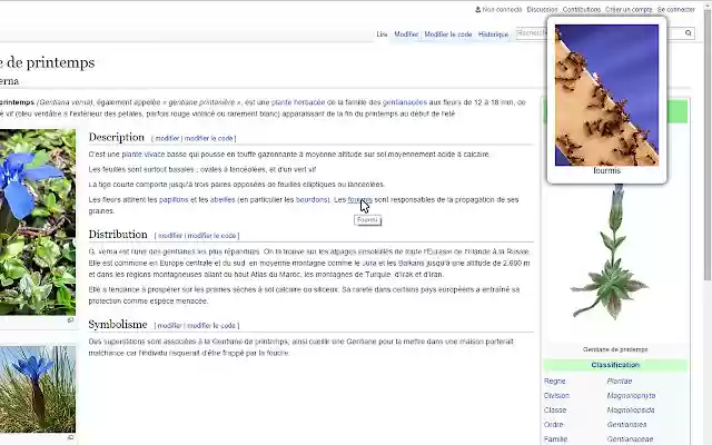 WikImage from Chrome web store to be run with OffiDocs Chromium online WikImage from Chrome web store to be run with OffiDocs Chromium online