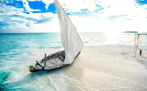 Wooden boat ran aground from Chrome web store to be run with OffiDocs Chromium online Wooden boat ran aground from Chrome web store to be run with OffiDocs Chromium online