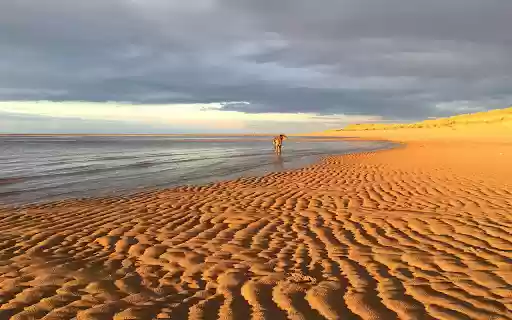 Yellow sand, blue sea from Chrome web store to be run with OffiDocs Chromium online Yellow sand, blue sea from Chrome web store to be run with OffiDocs Chromium online