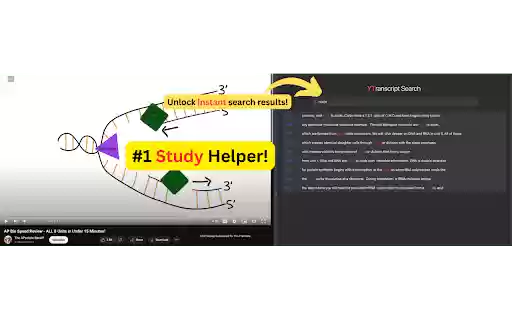 YTranscript from Chrome web store to be run with OffiDocs Chromium online YTranscript from Chrome web store to be run with OffiDocs Chromium online